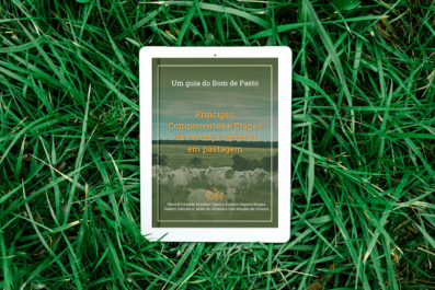 Princípio, Componentes e Etapas da Produção animal em pastagem