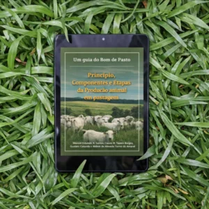 Etapas da Produção animal