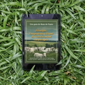 Etapas da Produção animal