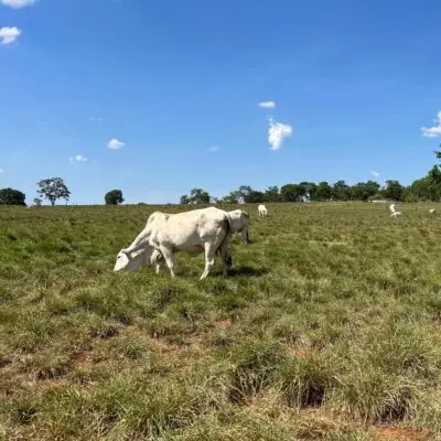 WhatsApp Image 2024-05-02 at 10.22.26