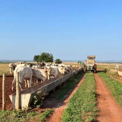 WhatsApp Image 2024-05-02 at 10.22.27