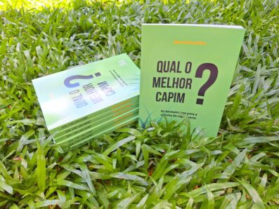 Qual o melhor capim?