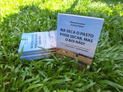 Na seca, o pasto pode secar, mas o boi não!