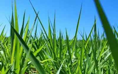 WhatsApp Image 2024-08-23 at 16.54.26