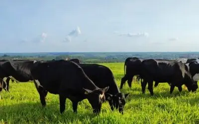 WhatsApp Image 2024-01-02 at 10.37.44 (1)