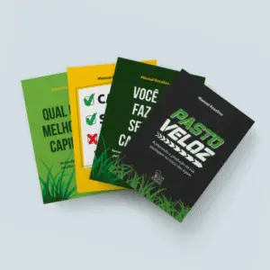 COMBO 16 - PV + CSE! + VFSC! + QMC?