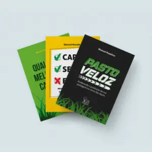 COMBO 13 - PV+ CSE + QMC?