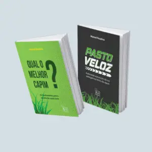 COMBO 9 - PV + Qual o melhor capim