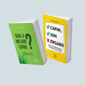 COMBO 2 - CSE + QMC?