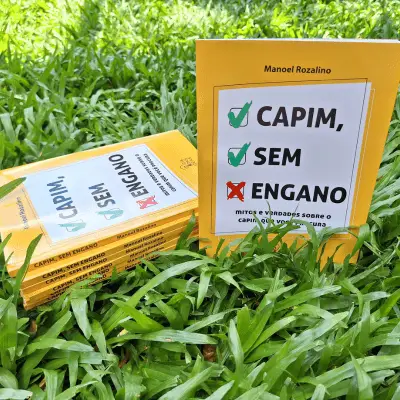Capim, sem engano