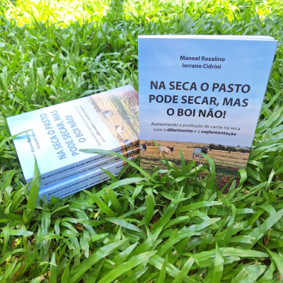 Na seca o pasto pode secar