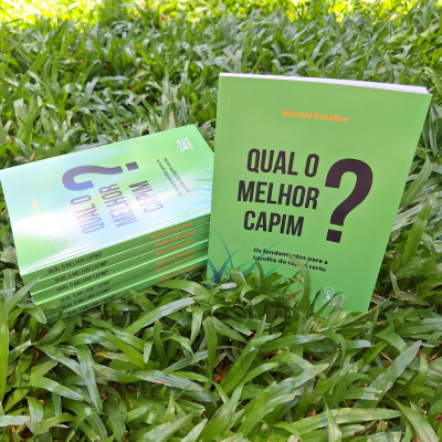 Qual o melhor capim?