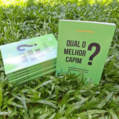 Qual o melhor capim?